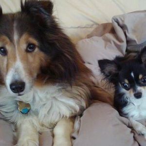 Meet your Posher, Donna